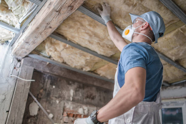 Best Fiberglass Insulation in Brooklyn Park, MD