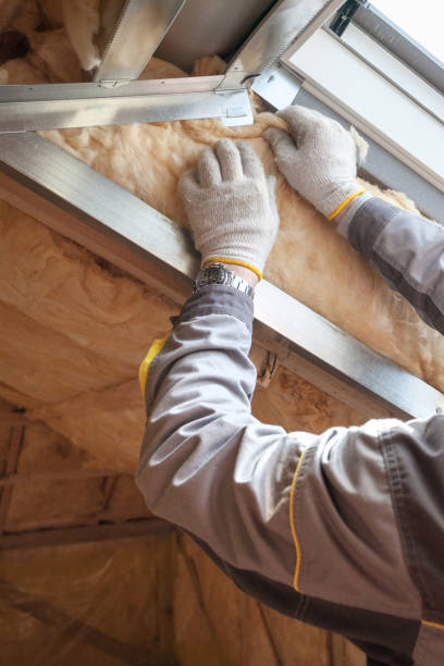 Best Specialized Insulation Services in Brooklyn Park, MD