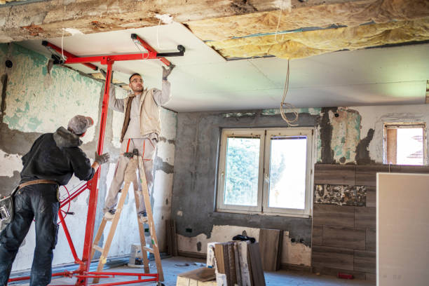 Best Geographic-Specific Insulation Services in Brooklyn Park, MD